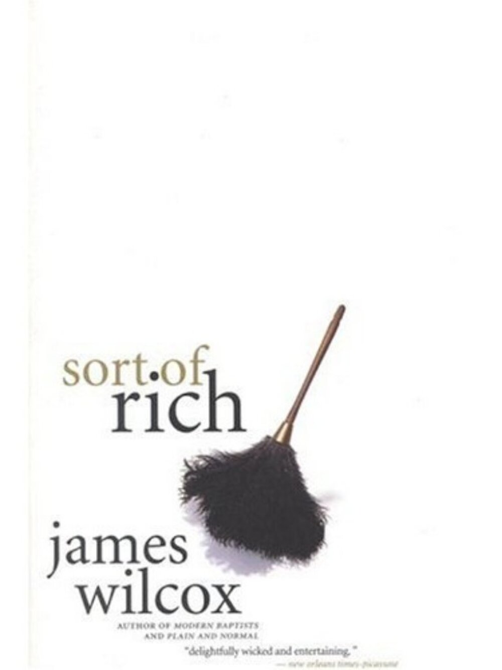Sort of Rich James Wilcox New York times notable book of Year